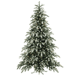 Frosted Tree