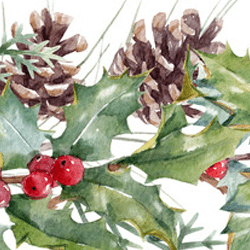 Pinecones & Greenery
