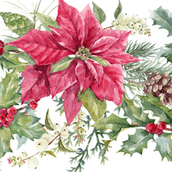 Poinsettias