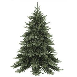 Traditional Tree