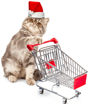 Shopping Cart Empty