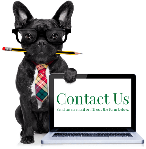 Contact Us Dog With Laptop.